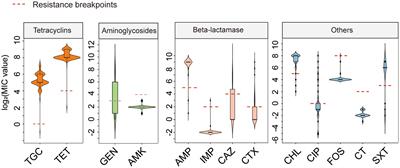 Genomic characterization revealing the high rate of tet(X4)-positive Escherichia coli in animals associated with successful genetic elements